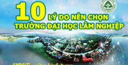 Đào tạo Tiến sĩ tại Trường Đại học Lâm nghiệp